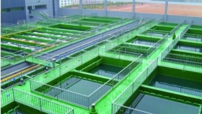 山東電鍍廢水處理工藝聯系電話